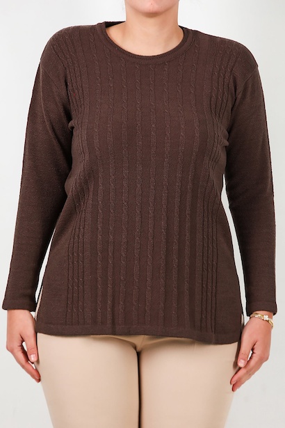 Büyük Beden Bisiklet Yaka Triko Bluz  Kahverengi 6